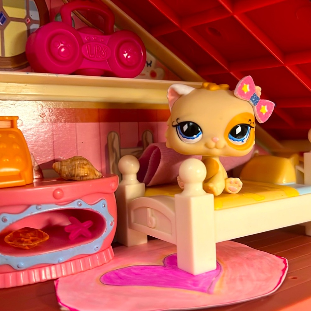 Littlest Pet Shop Rare Cat